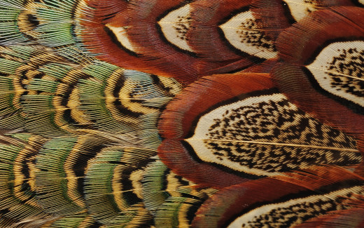 995669 (a): :2880x1800
